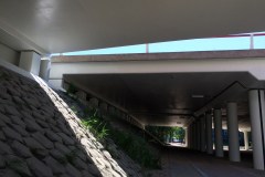 IMG_1081